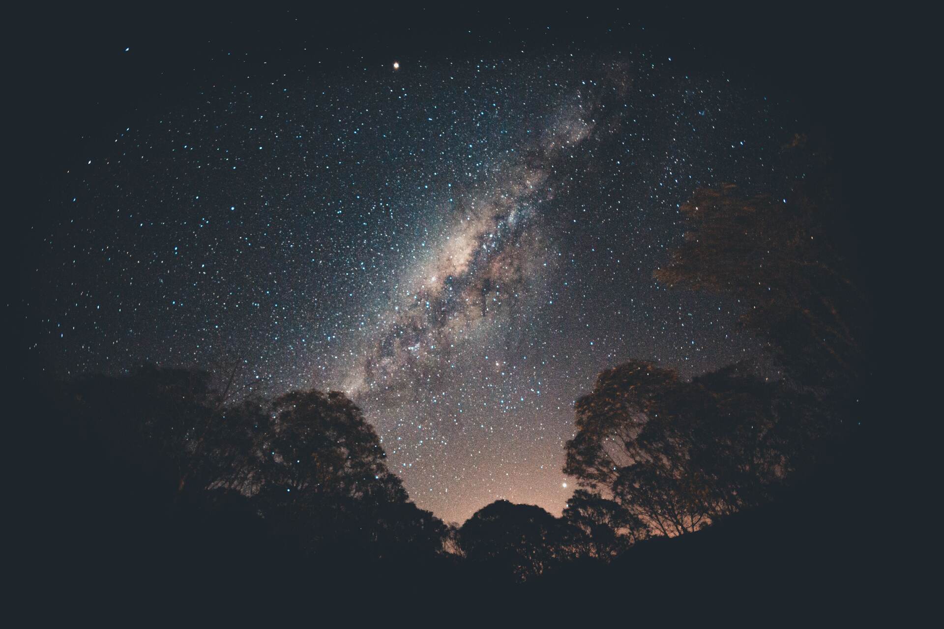 Milky Way over the treeline
